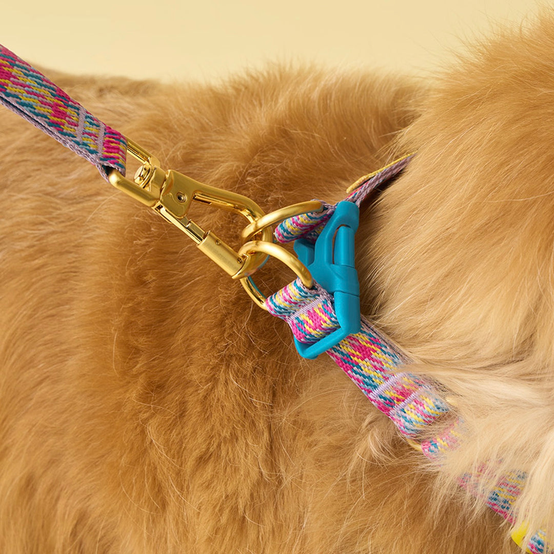 即納【iCANDOR】Gentle Leash Bolt（EDINBURGH CHECK）