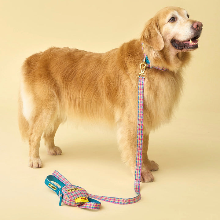 即納【iCANDOR】Gentle Leash Bolt（EDINBURGH CHECK）