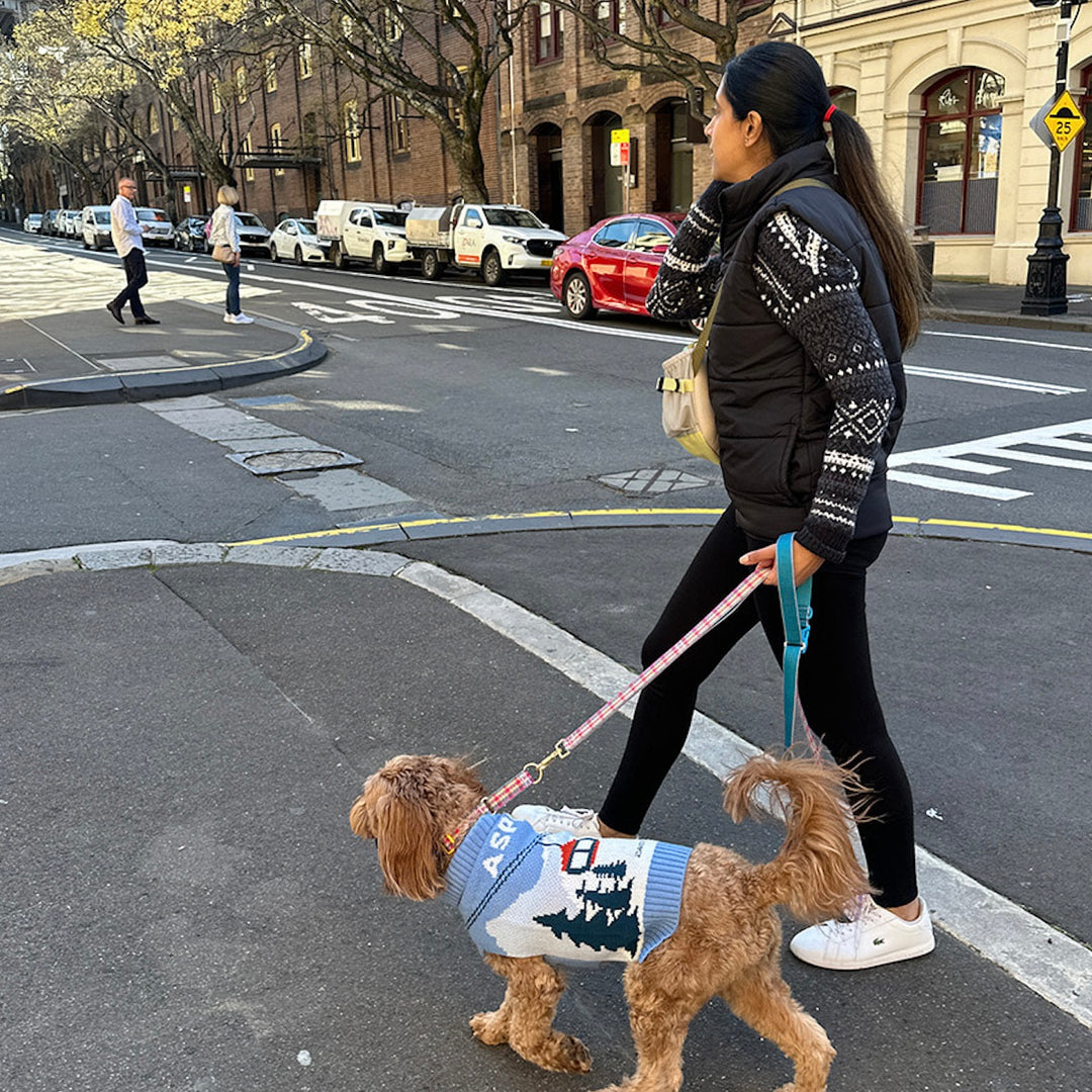 即納【iCANDOR】Gentle Leash Bolt（EDINBURGH CHECK）