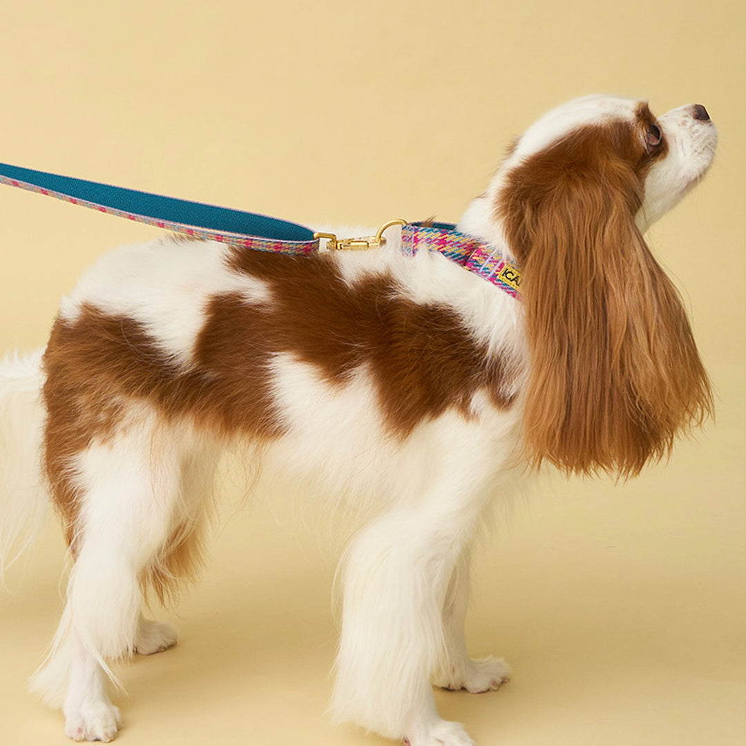 即納【iCANDOR】Gentle Leash Bolt Long（EDINBURGH CHECK）