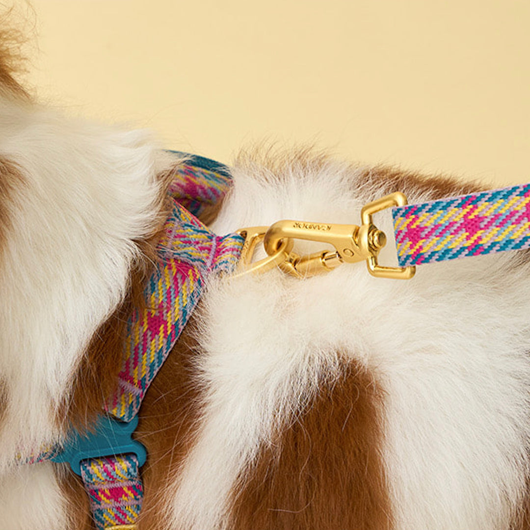 即納【iCANDOR】Gentle Leash Bolt Long（EDINBURGH CHECK）