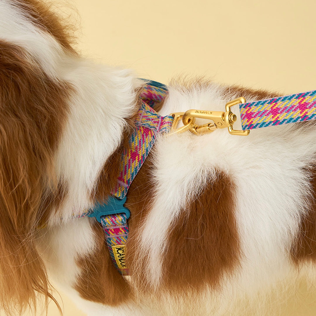 即納【iCANDOR】Gentle Leash Bolt Long（EDINBURGH CHECK）