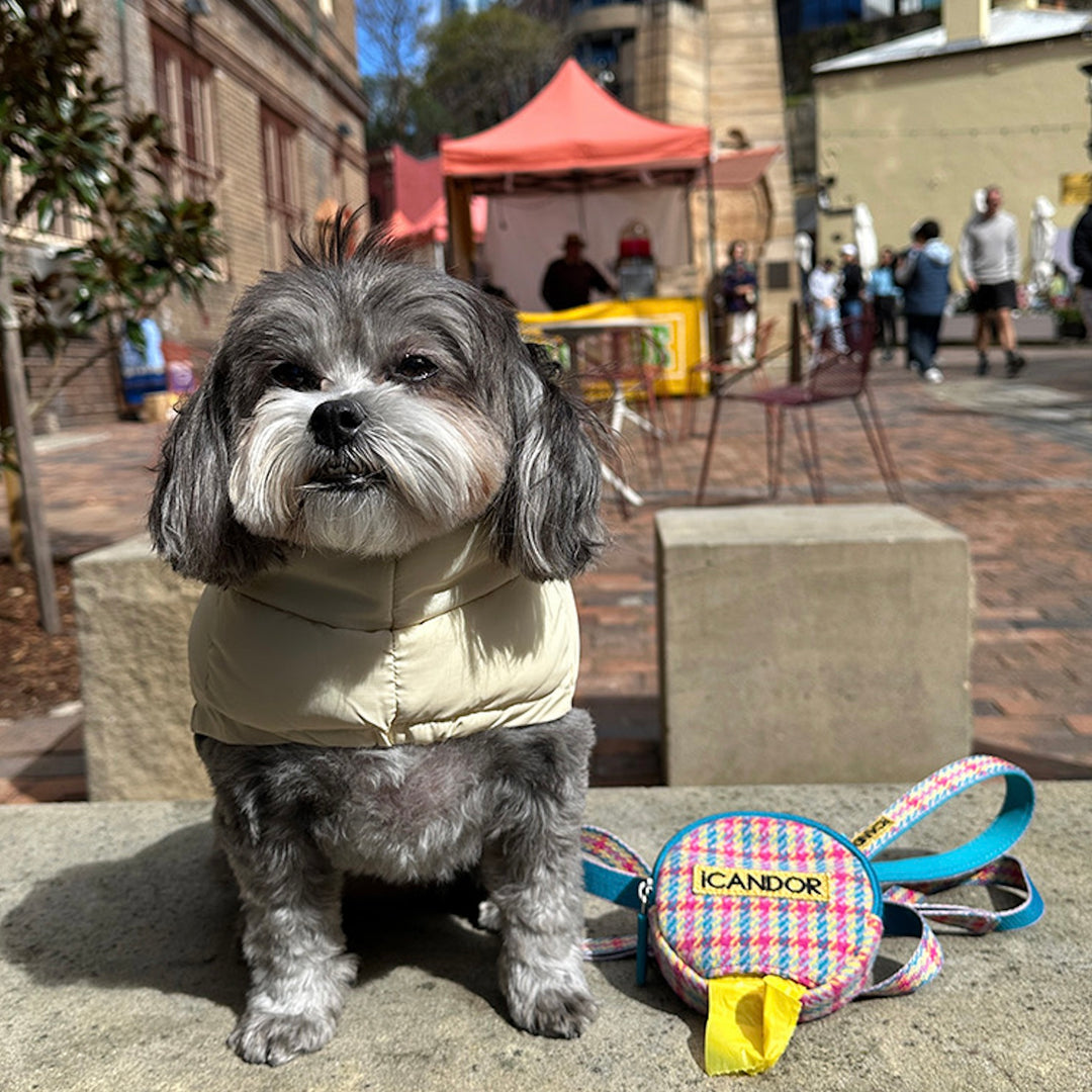 即納【iCANDOR】Gentle Leash Bolt Long（EDINBURGH CHECK）