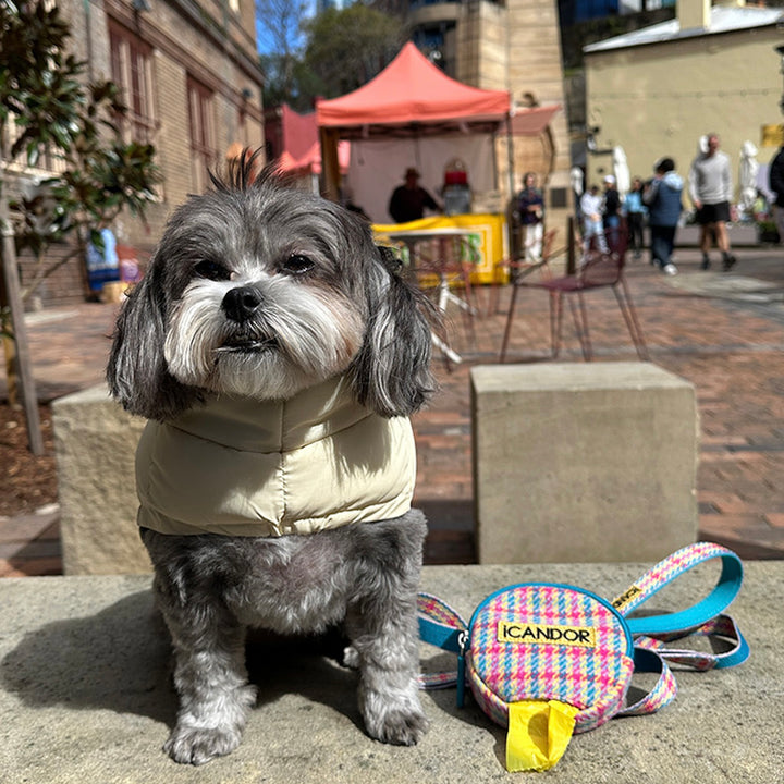 即納【iCANDOR】Gentle Leash Bolt Long（EDINBURGH CHECK）