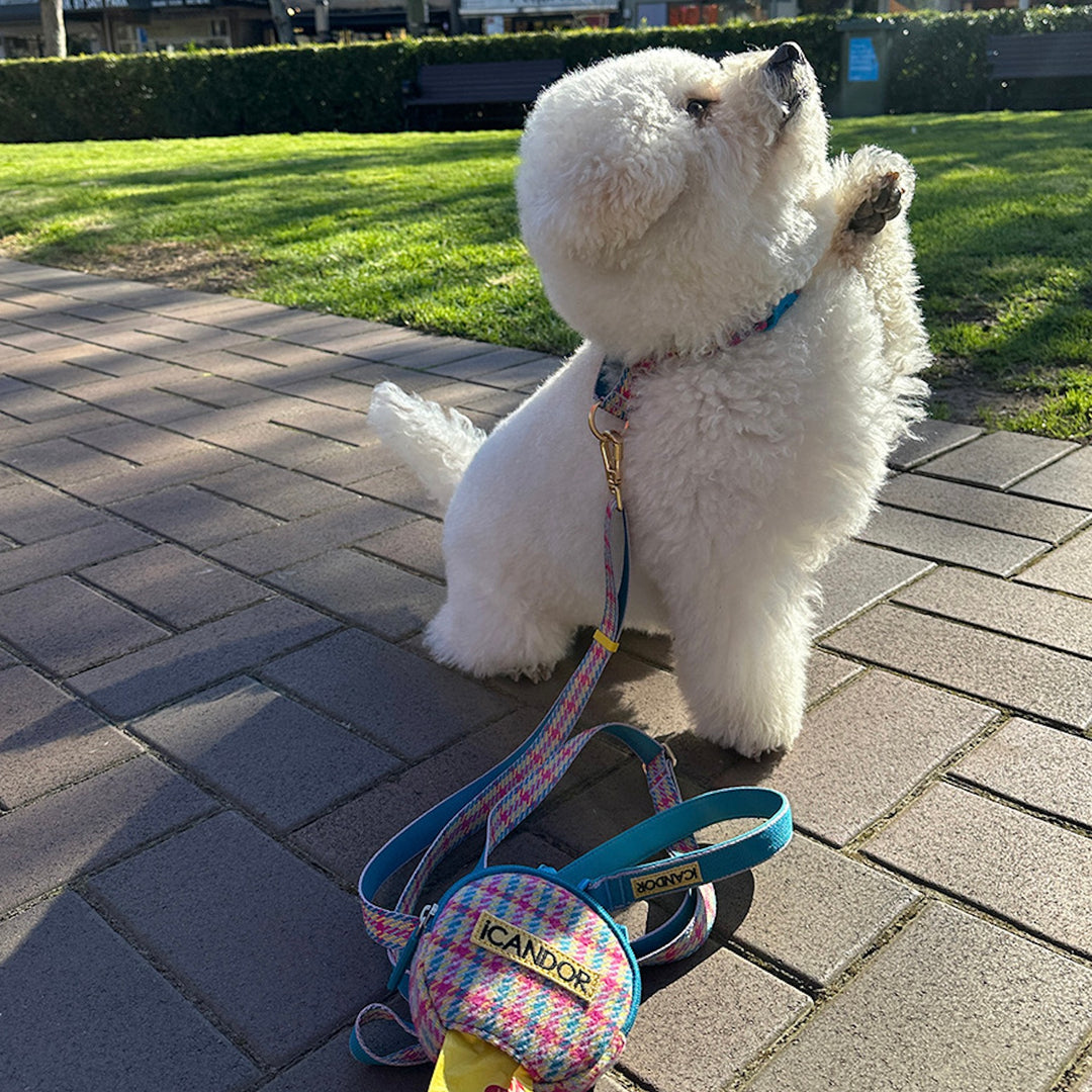 即納【iCANDOR】Gentle Leash Bolt Long（EDINBURGH CHECK）