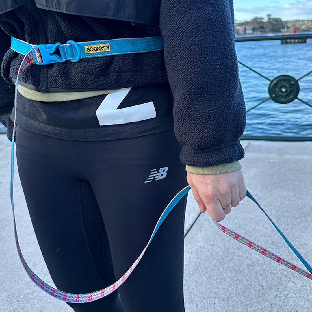 即納【iCANDOR】Gentle Leash Bolt Long（EDINBURGH CHECK）