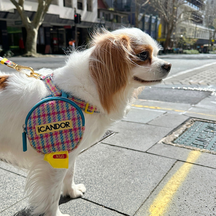 即納【iCANDOR】Gentle Leash Bolt Long（EDINBURGH CHECK）