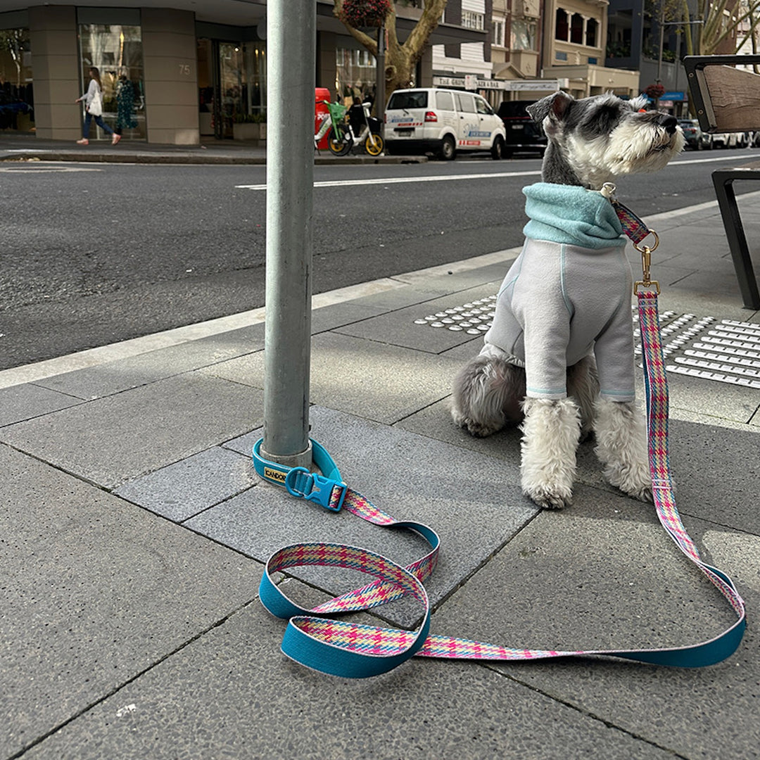 即納【iCANDOR】Gentle Leash Bolt Long（EDINBURGH CHECK）