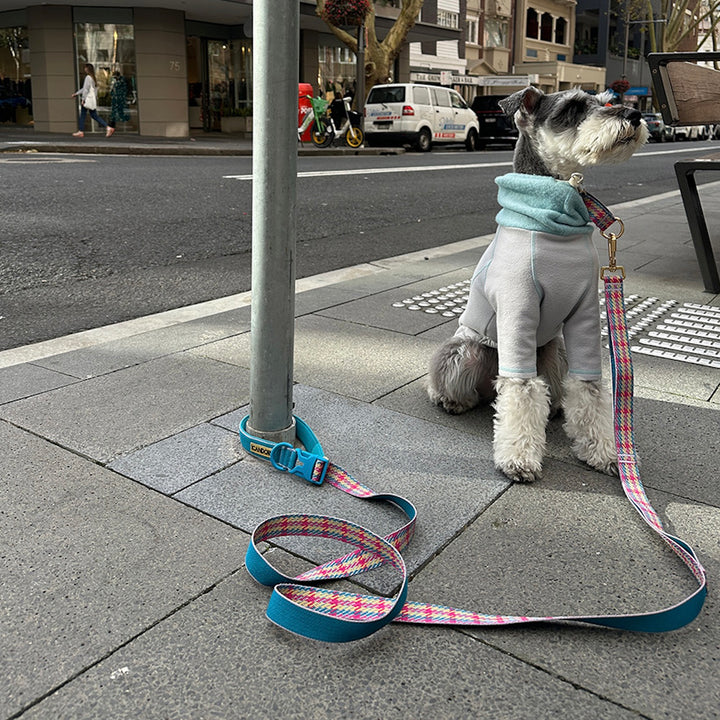 即納【iCANDOR】Gentle Leash Bolt Long（EDINBURGH CHECK）