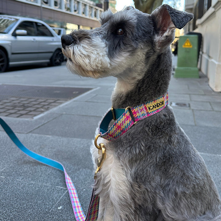 即納【iCANDOR】Gentle Leash Bolt Long（EDINBURGH CHECK）