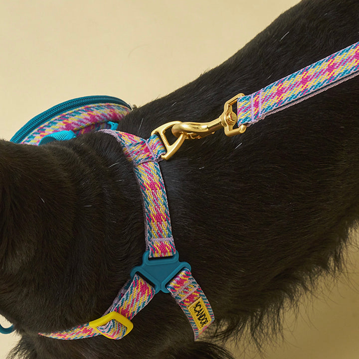 即納【iCANDOR】Gentle Leash（EDINBURGH CHECK）