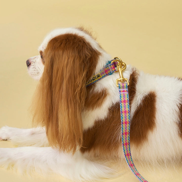 即納【iCANDOR】Gentle Leash（EDINBURGH CHECK）
