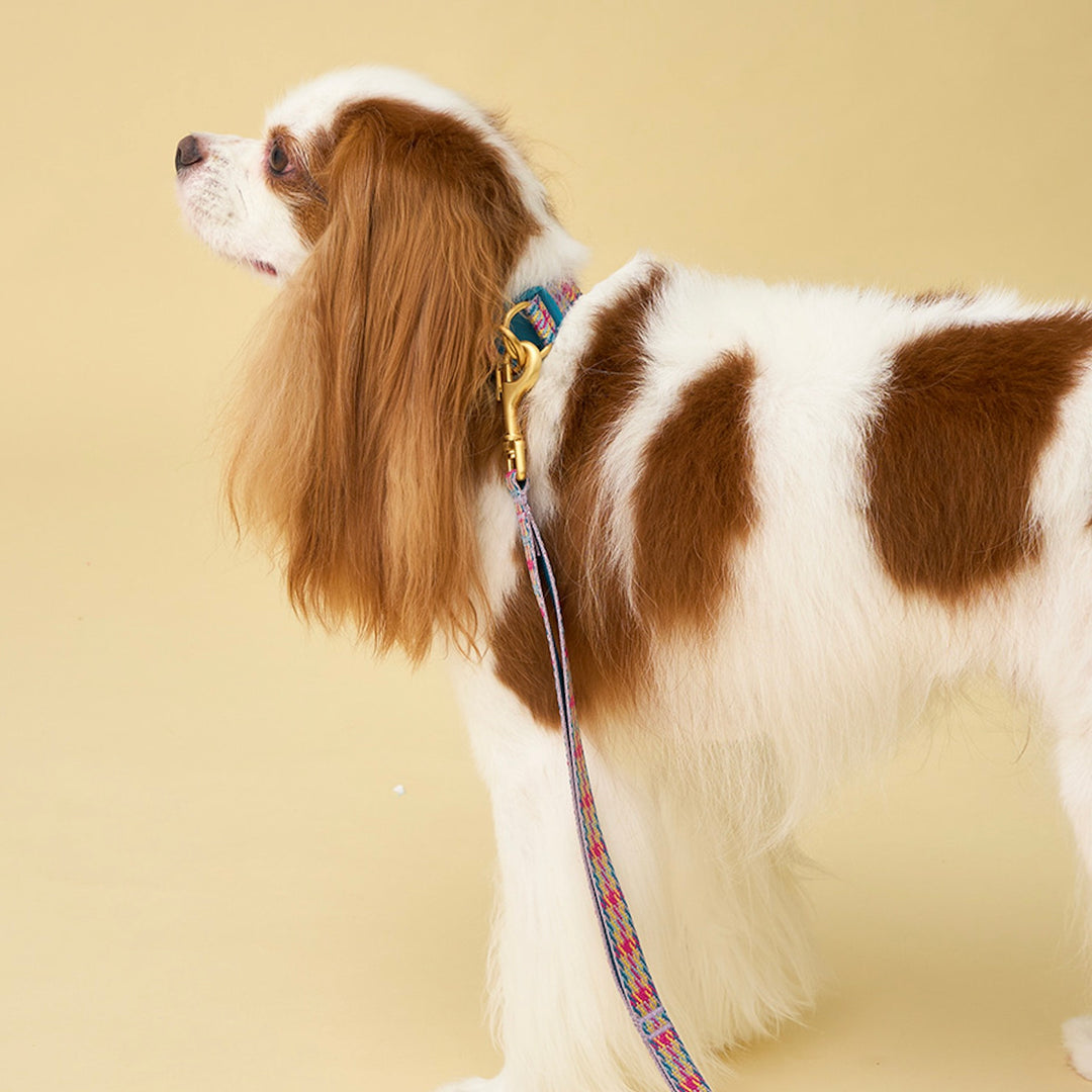 即納【iCANDOR】Gentle Leash（EDINBURGH CHECK）