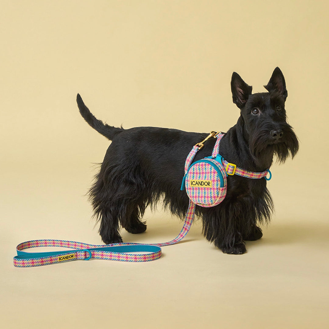 即納【iCANDOR】Gentle Leash（EDINBURGH CHECK）