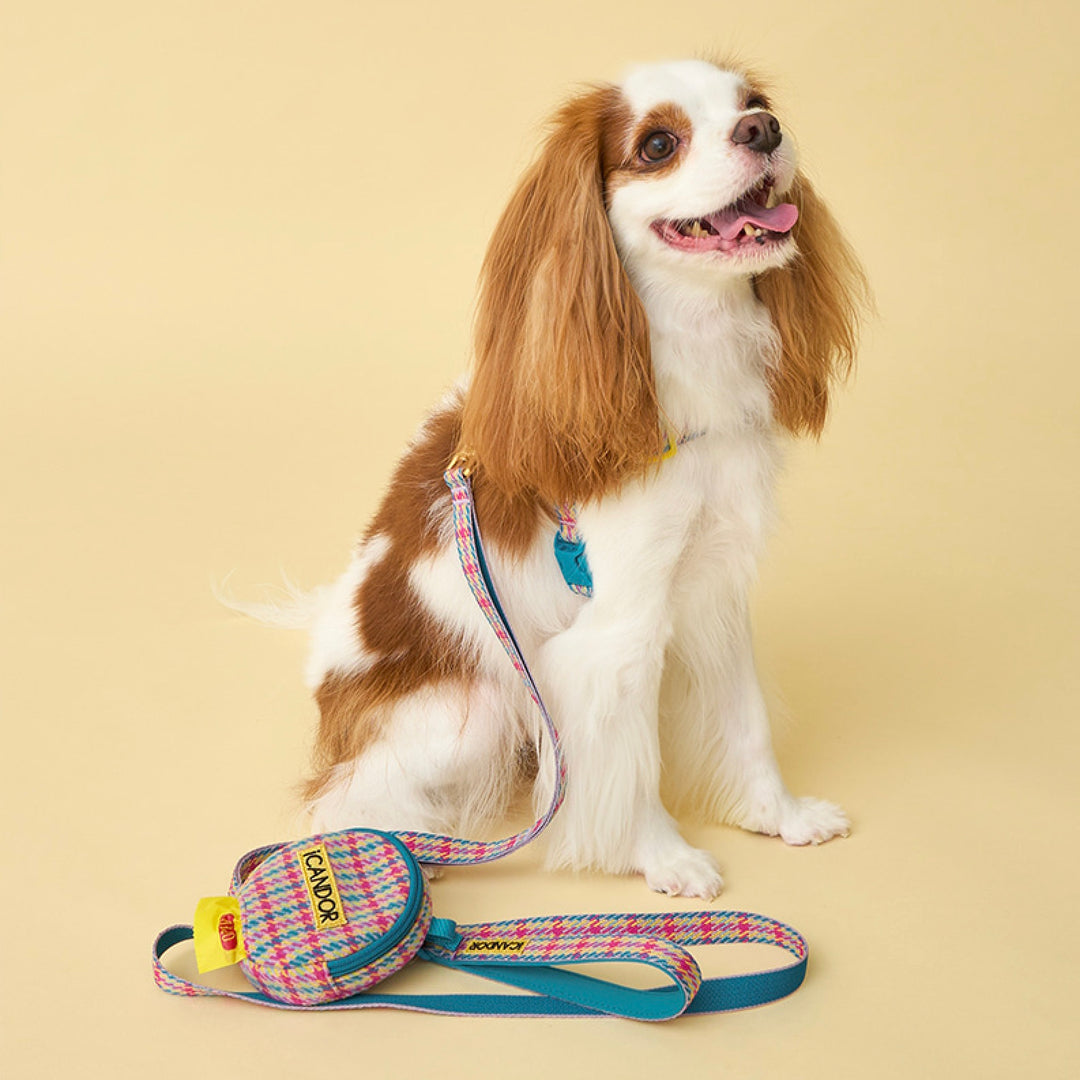 即納【iCANDOR】Gentle Leash（EDINBURGH CHECK）