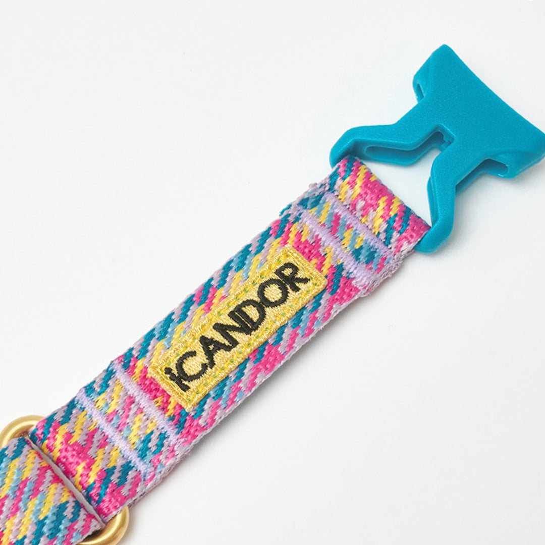※予約販売【iCANDOR】MARTINGALE COLLAR BUCKLE（EDINBURGH CHECK）