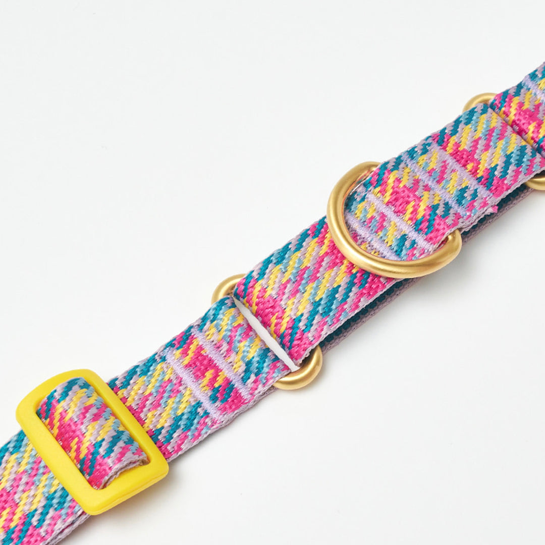 ※予約販売【iCANDOR】MARTINGALE COLLAR BUCKLE（EDINBURGH CHECK）