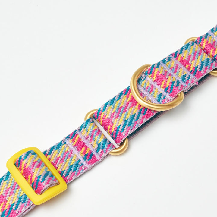 ※予約販売【iCANDOR】MARTINGALE COLLAR BUCKLE（EDINBURGH CHECK）