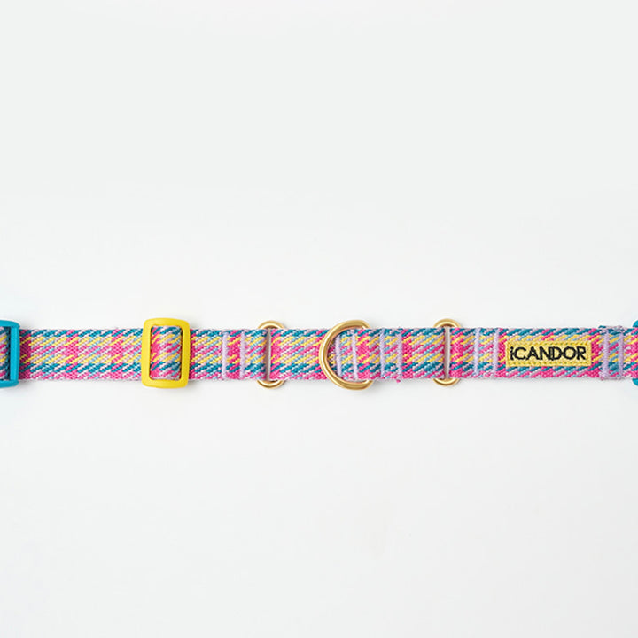 ※予約販売【iCANDOR】MARTINGALE COLLAR BUCKLE（EDINBURGH CHECK）