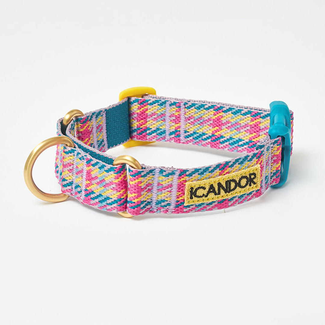 ※予約販売【iCANDOR】MARTINGALE COLLAR BUCKLE（EDINBURGH CHECK）