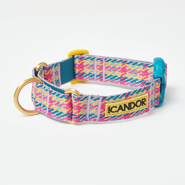 ※予約販売【iCANDOR】MARTINGALE COLLAR BUCKLE（EDINBURGH CHECK）