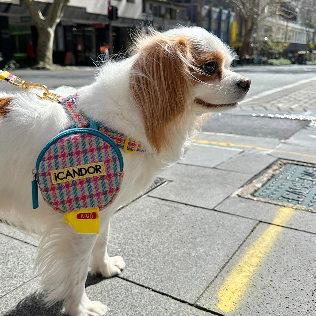 即納【iCANDOR】No-Pull Harness（EDINBURGH CHECK）