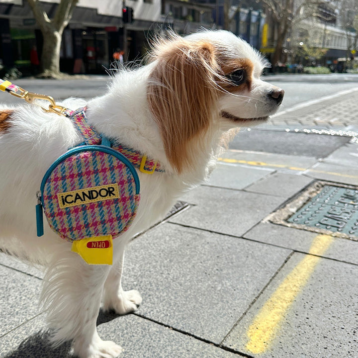 即納【iCANDOR】No-Pull Harness（EDINBURGH CHECK）