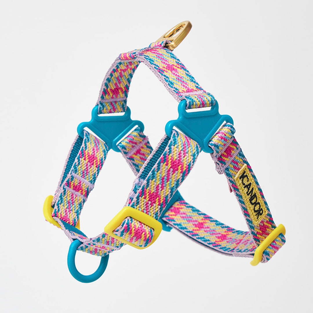 即納【iCANDOR】No-Pull Harness（EDINBURGH CHECK）