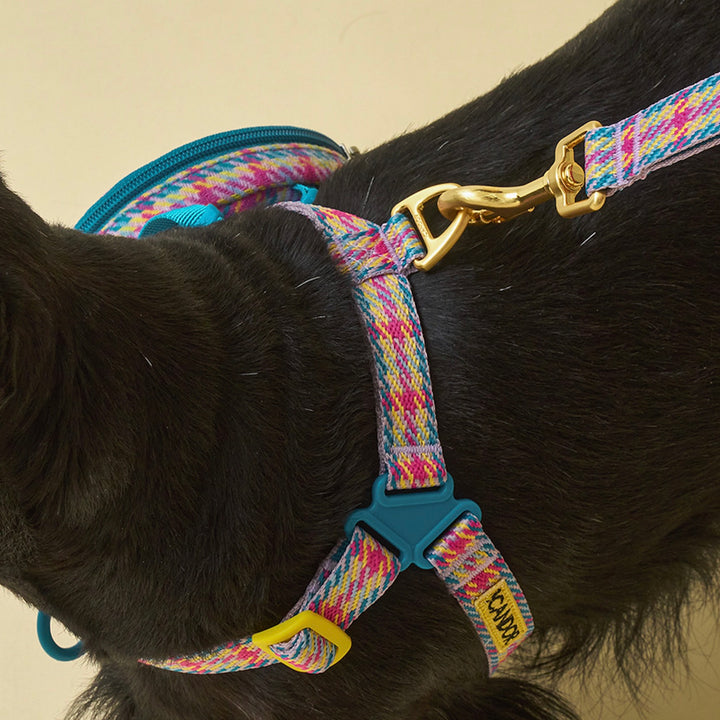 即納【iCANDOR】No-Pull Harness（EDINBURGH CHECK）