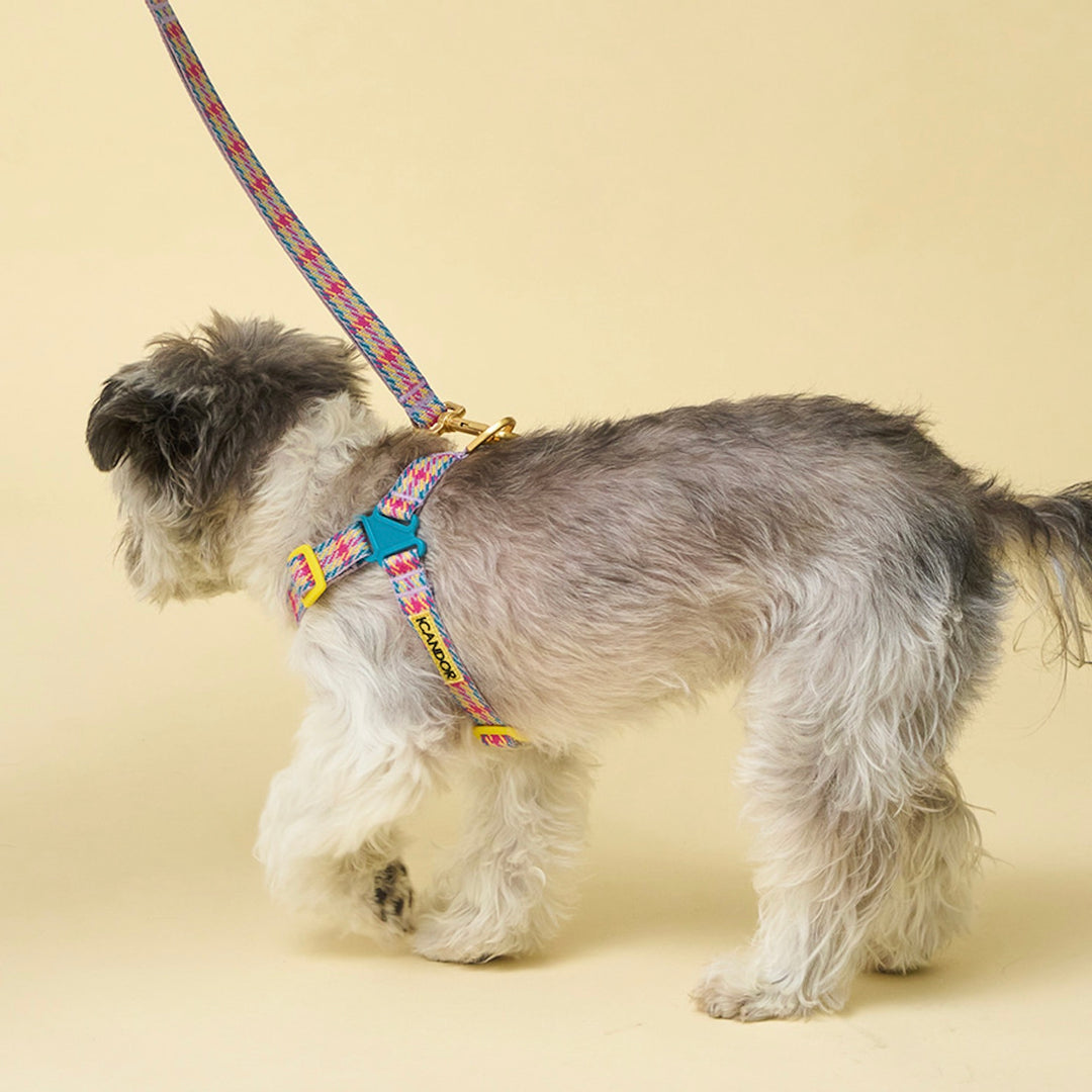 即納【iCANDOR】No-Pull Harness（EDINBURGH CHECK）