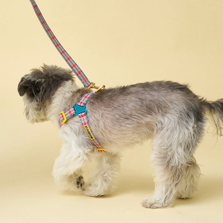 即納【iCANDOR】No-Pull Harness（EDINBURGH CHECK）