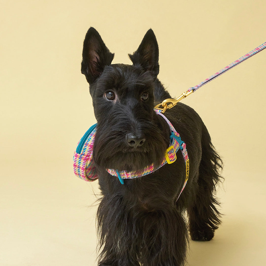 即納【iCANDOR】No-Pull Harness（EDINBURGH CHECK）