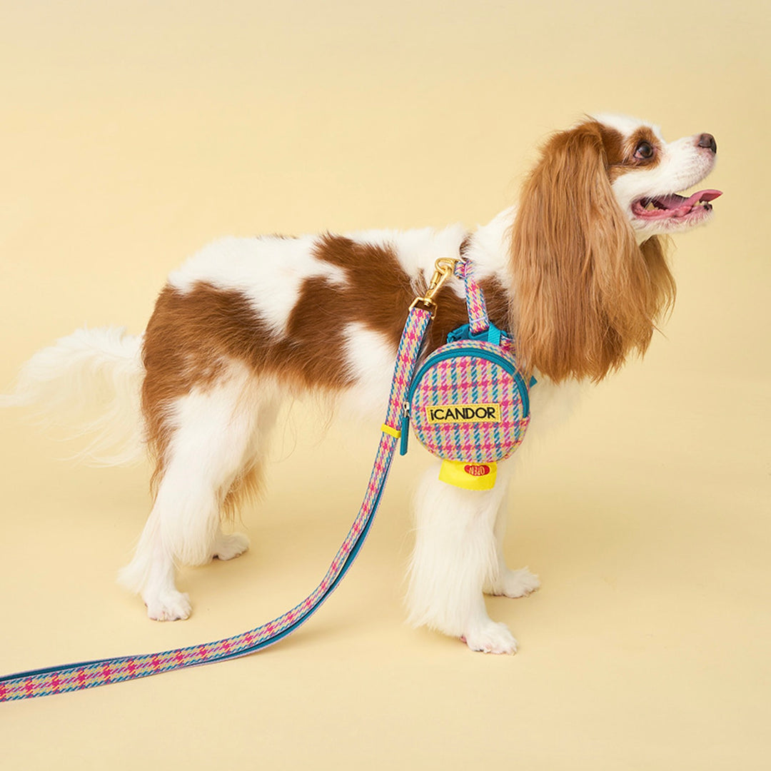 即納【iCANDOR】No-Pull Harness（EDINBURGH CHECK）