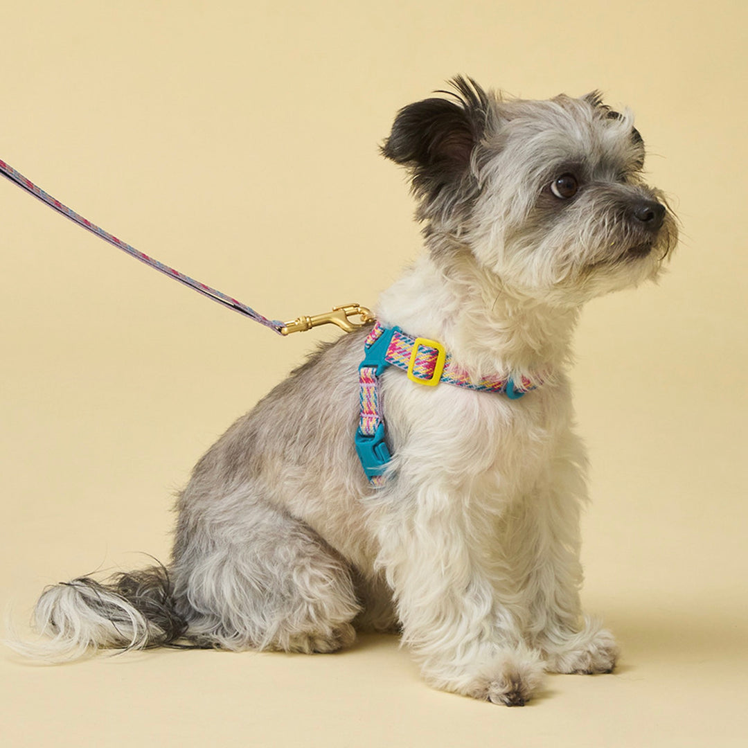 即納【iCANDOR】No-Pull Harness（EDINBURGH CHECK）