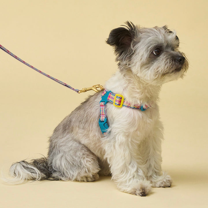 即納【iCANDOR】No-Pull Harness（EDINBURGH CHECK）