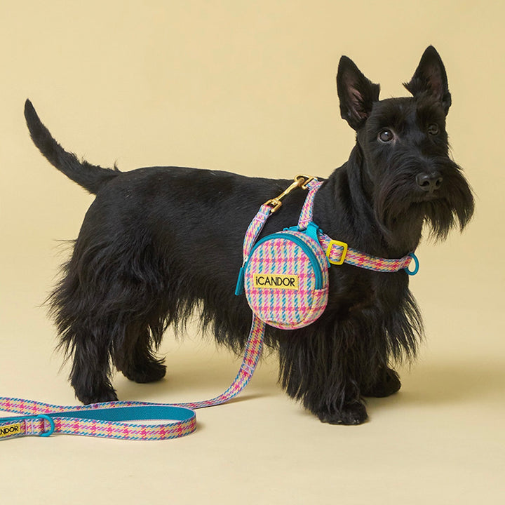 即納【iCANDOR】No-Pull Harness（EDINBURGH CHECK）