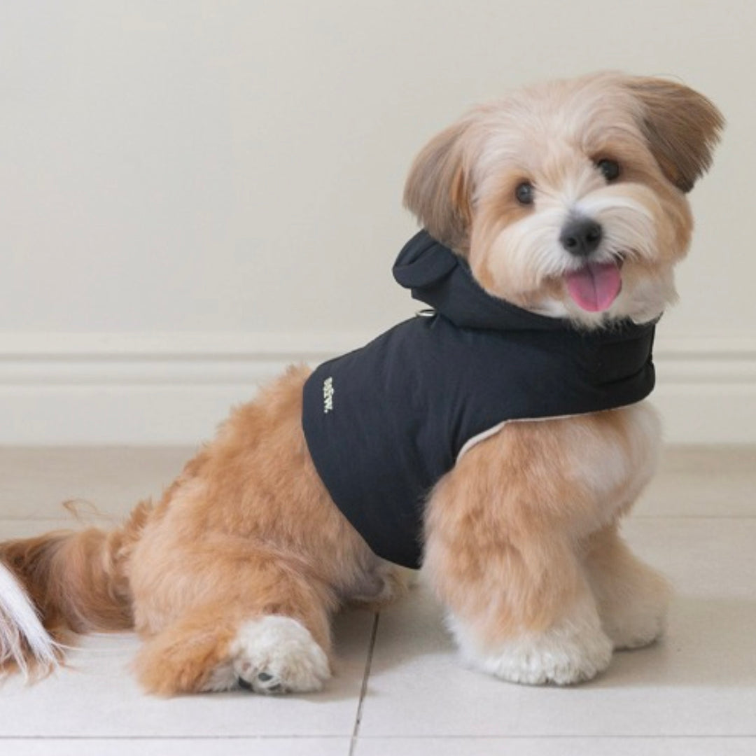 ※予約販売【ssfw】My Bestie Puffer Harness（3colors）