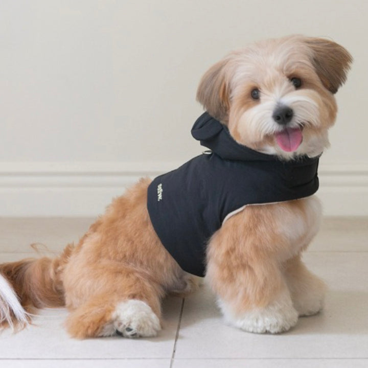 ※予約販売【ssfw】My Bestie Puffer Harness（3colors）