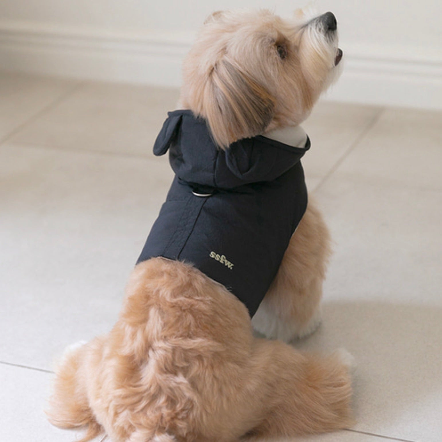 海外犬服 高品質なインポートのドッグウェア通販 