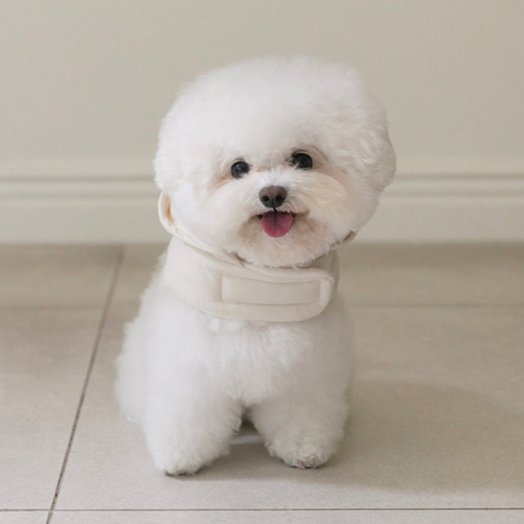 ※予約販売【ssfw】My Bestie Puffer Harness（3colors）