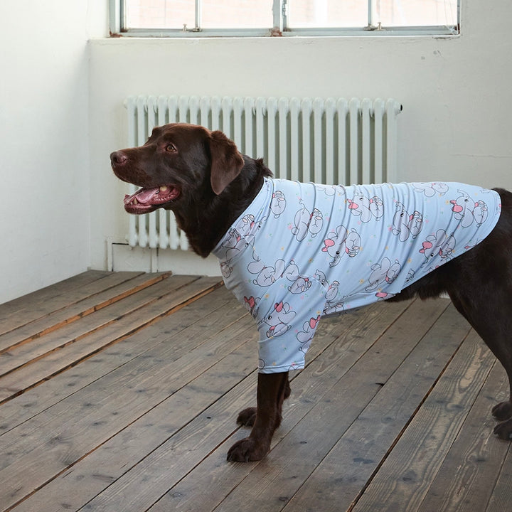 ※予約販売【andblank】Bebe Jelly phant AeroHeat T-Shirts