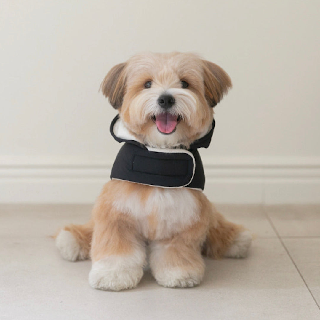 ※予約販売【ssfw】My Bestie Puffer Harness（3colors）