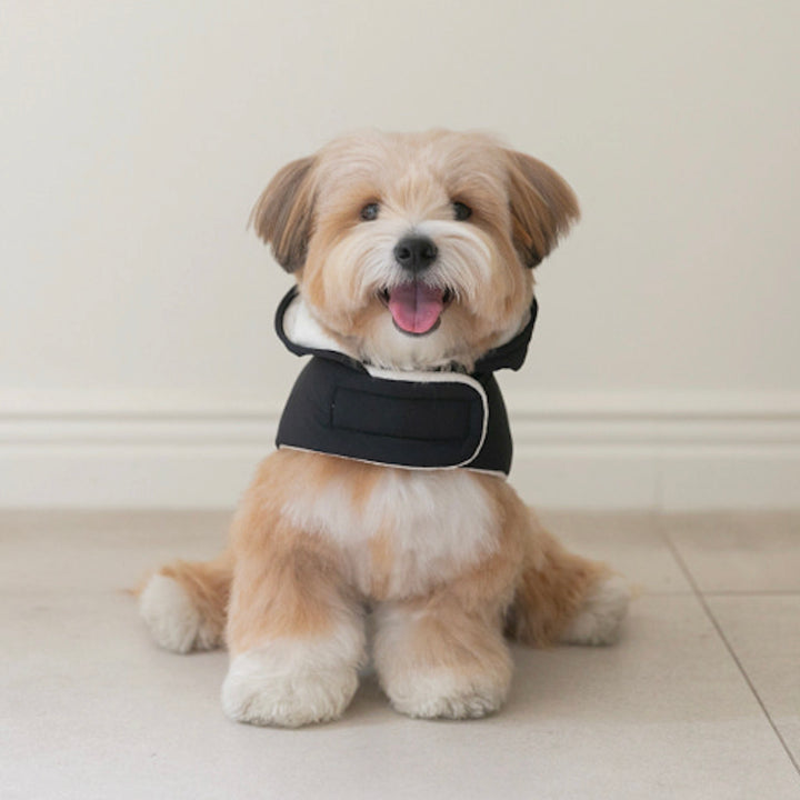※予約販売【ssfw】My Bestie Puffer Harness（3colors）