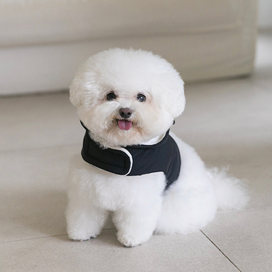※予約販売【ssfw】My Bestie Puffer Harness（3colors）