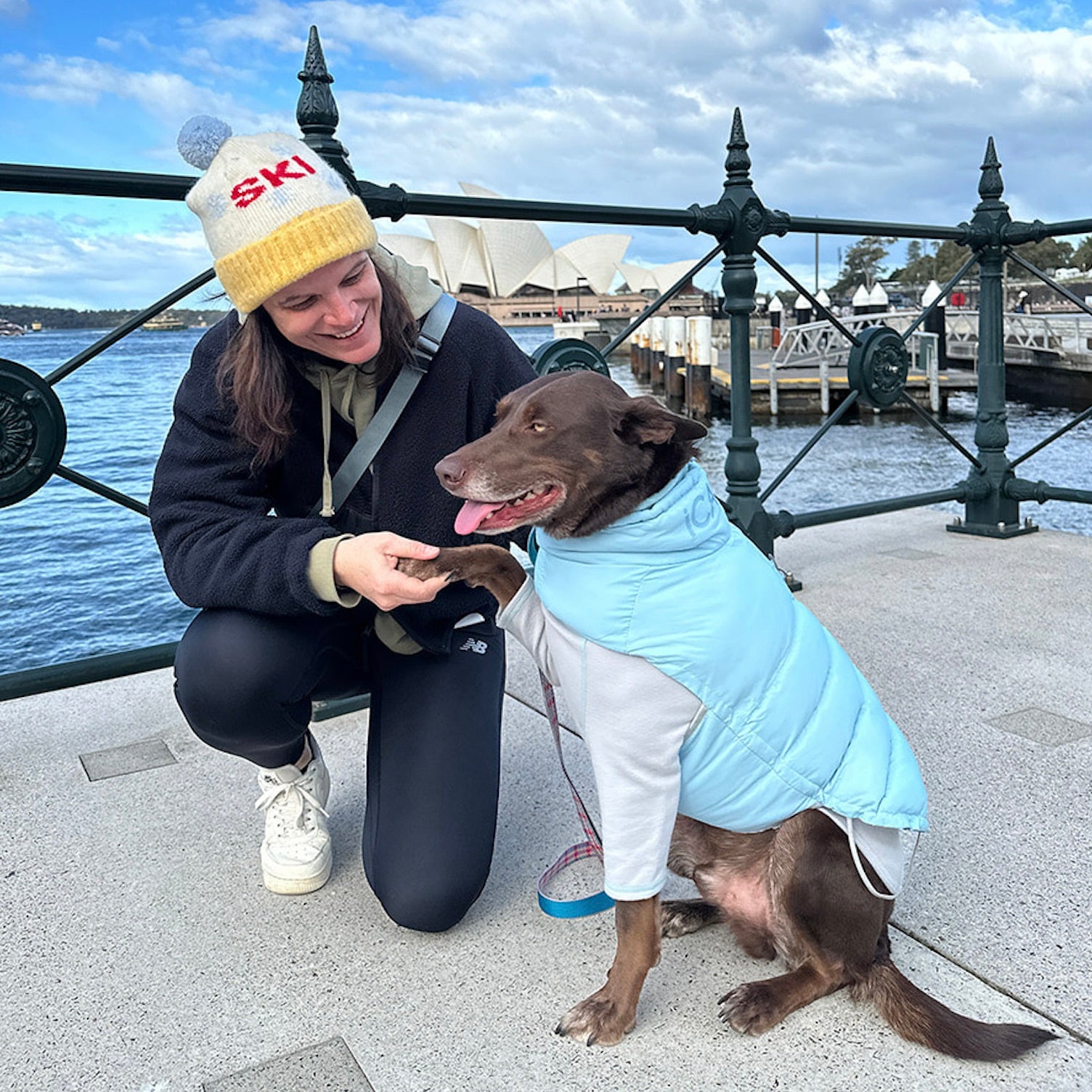 海外犬服高品質なインポートドッグウェア通販 