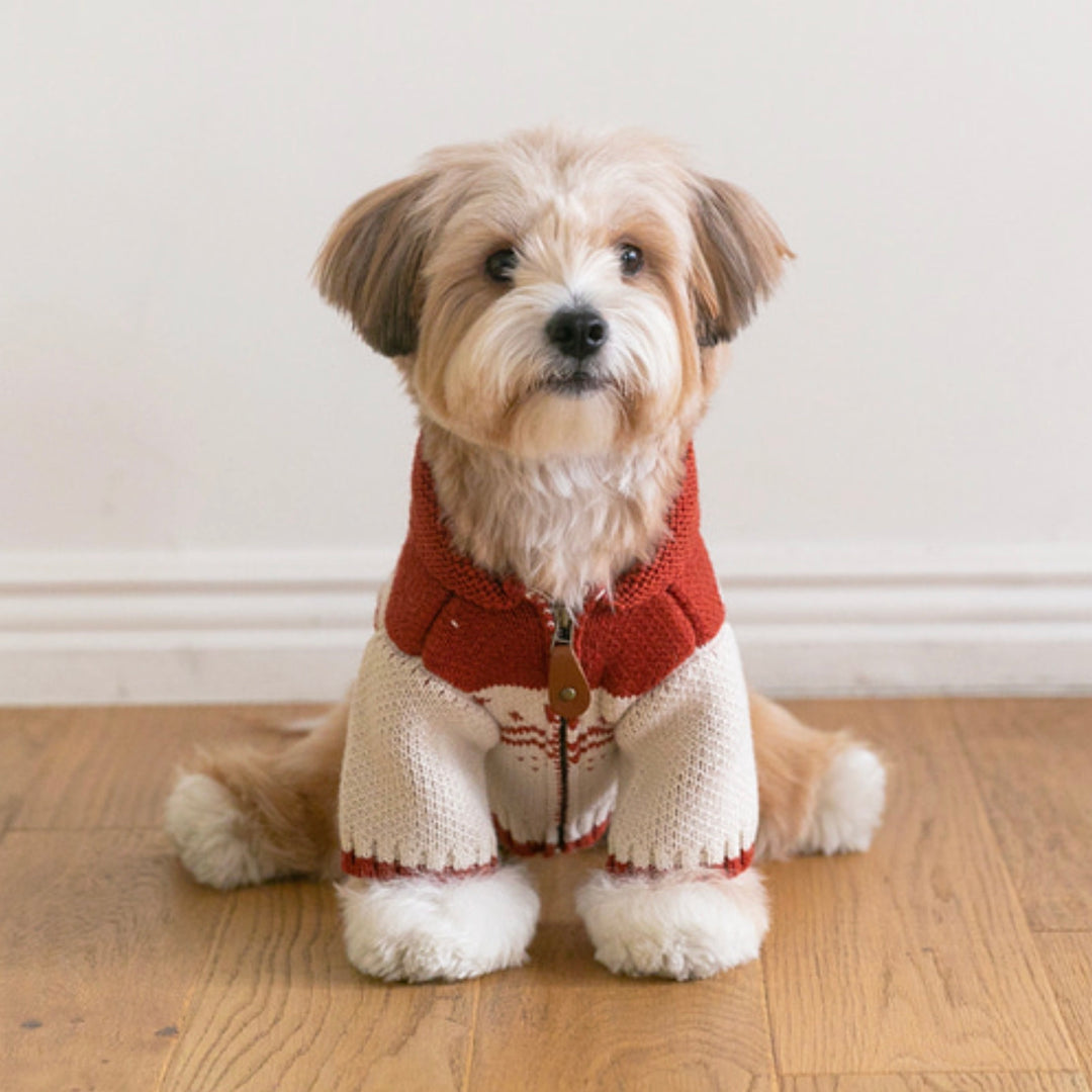 ※予約販売【ssfw】Maple Cowichan（2colors）