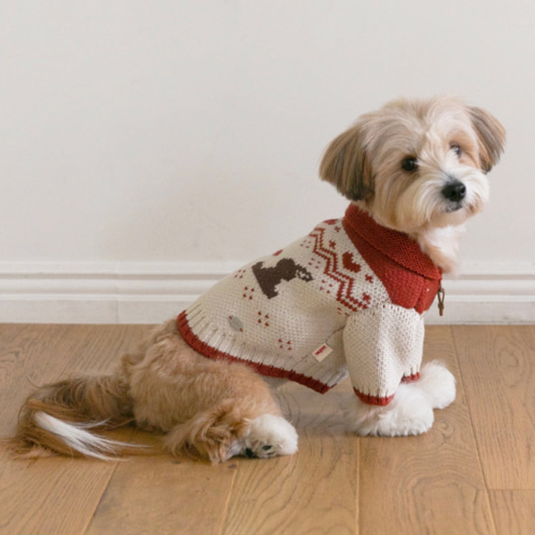 ※予約販売【ssfw】Maple Cowichan（2colors）