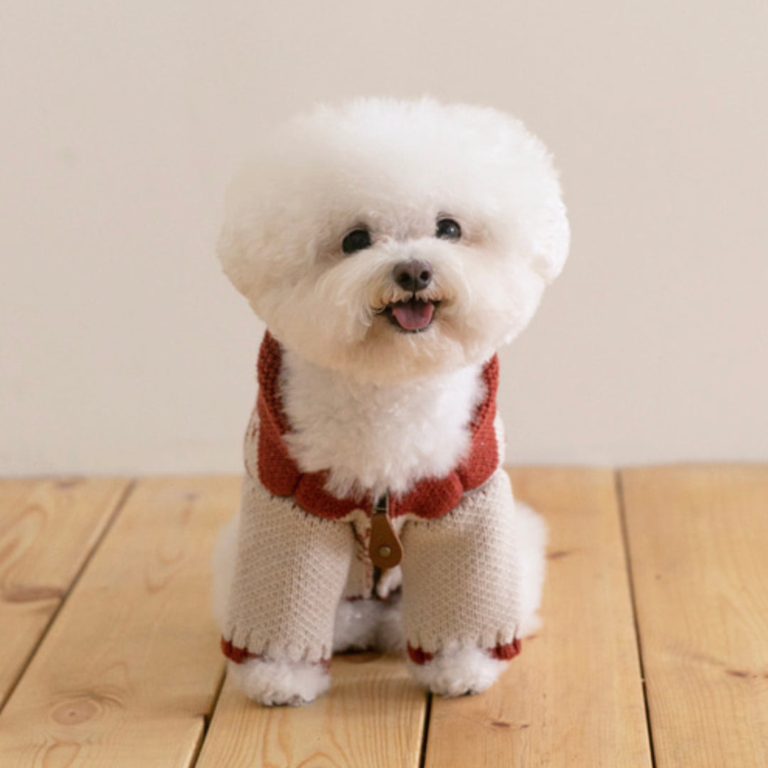 ※予約販売【ssfw】Maple Cowichan（2colors）