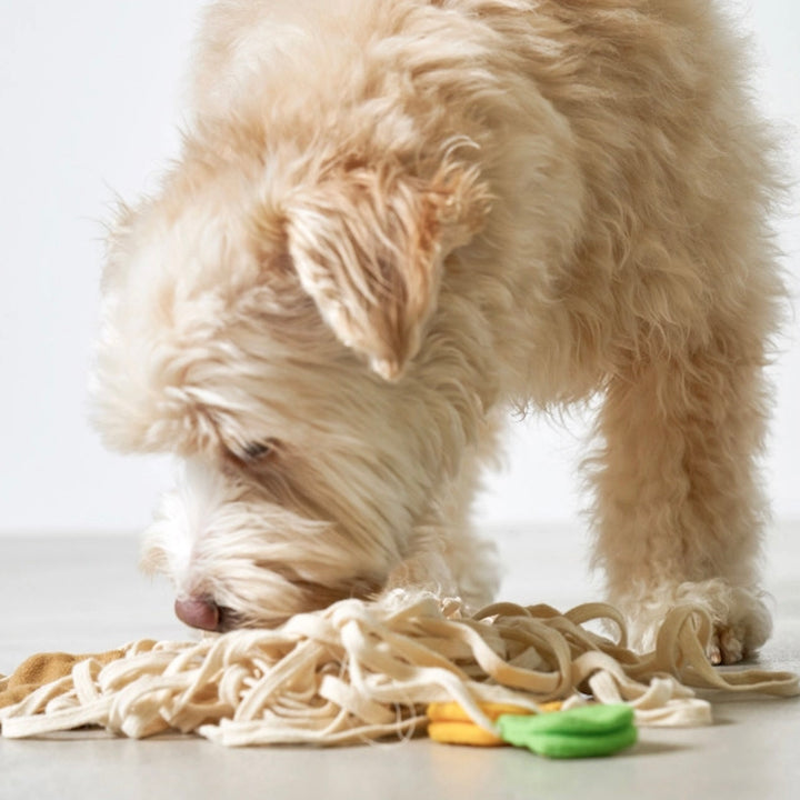 ※予約販売【HOWLPOT.】Ramen Toy（Nosework）