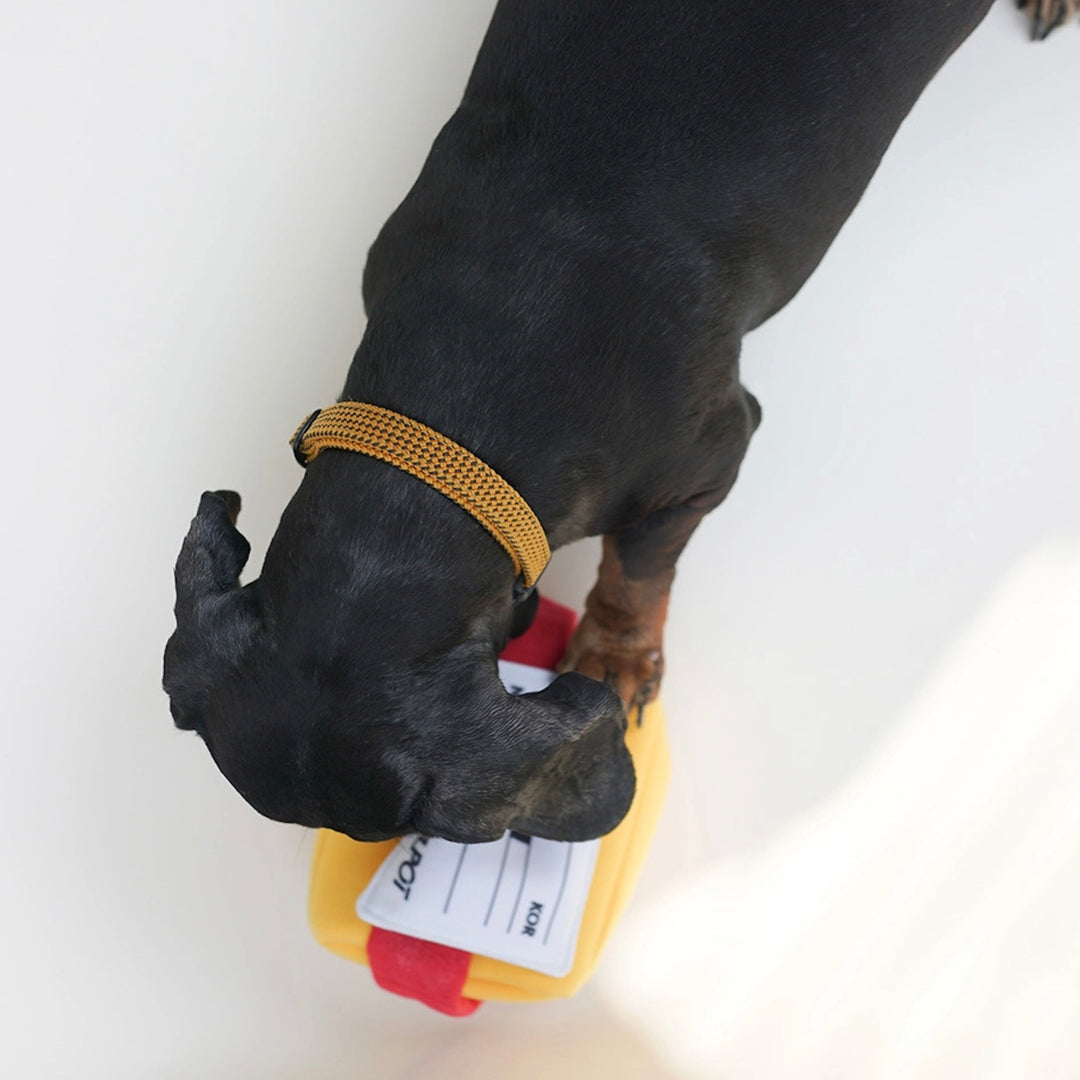 ※予約販売【HOWLPOT.】Express Pet Toy（Nosework）